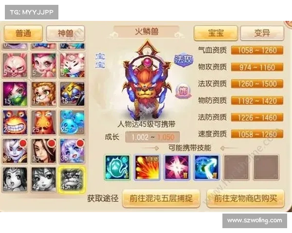 十大梦幻诛仙升级技巧，助你快速成长为中心精华必读