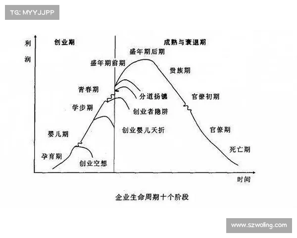 饥饿者杜恩的求生之道：从环境适应到心理调节的五大生存要素解析