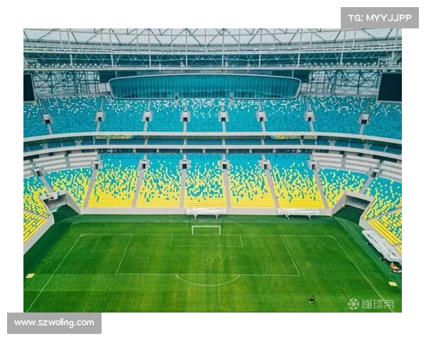 及时掌握澳大利亚足协杯加时赛关键要素提升比赛观赏与分析价值